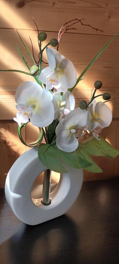 Le Flory'Lege Appartement Saint-Gervais-les-Bains Buitenkant foto